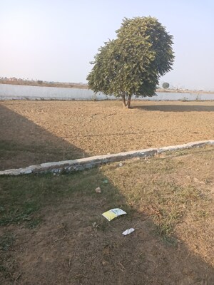 Plot Area in  Plot at Dholera – for Sale
