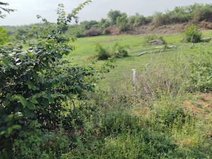  Plot – Garden View at Batasingaram - for Sale