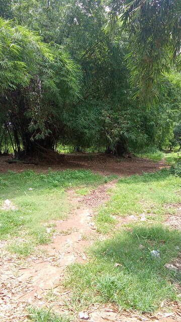  Plot For Sale in Tamando
