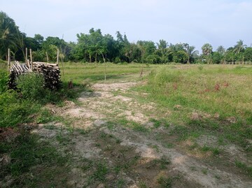 Plot Area in  Plot at Kolkatta Gpo – for Sale