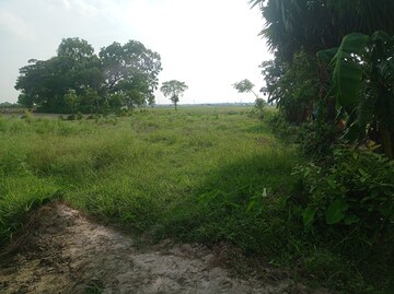  Plot – Exterior View View at Kolkatta Gpo - for Sale