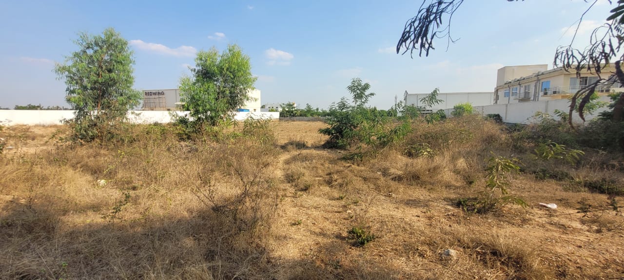 Plot For Sale in  Plot 1500sft Babusapalya