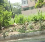 250 Sq.Yd. Plot in Ansal API Esencia