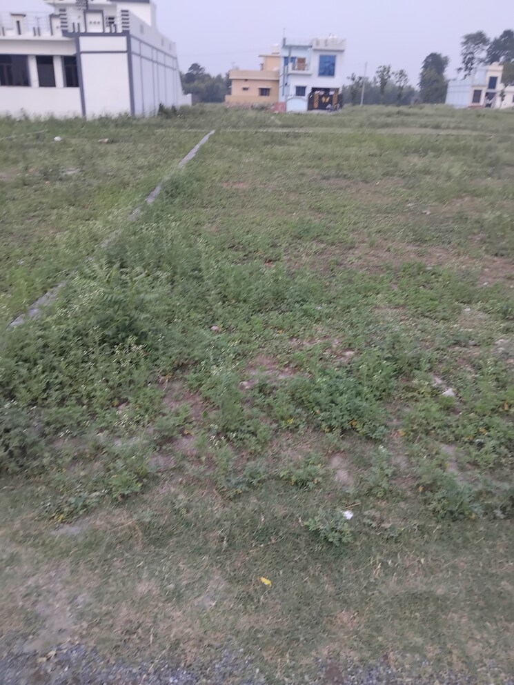 Garden, shimla bypass road  216 Sq.Yd. Plot In Shimla Bypass Road Dehradun 8812129