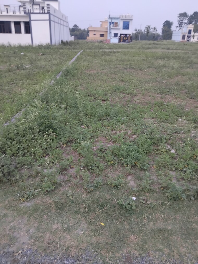 Garden, shimla bypass road  216 Sq.Yd. Plot In Shimla Bypass Road Dehradun 8812129