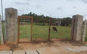 Plot For Sale in Lalbagh rd
