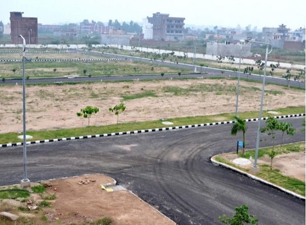 Plot For Sale in Mauli 22