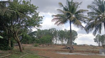  Plot – Exterior View View at Nelamangala - for Sale