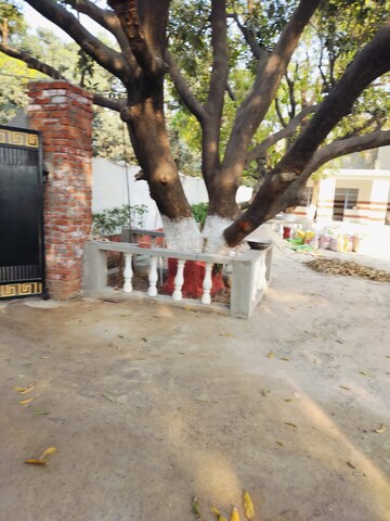  Plot – Exterior View View at Basantpur Banger - for Sale