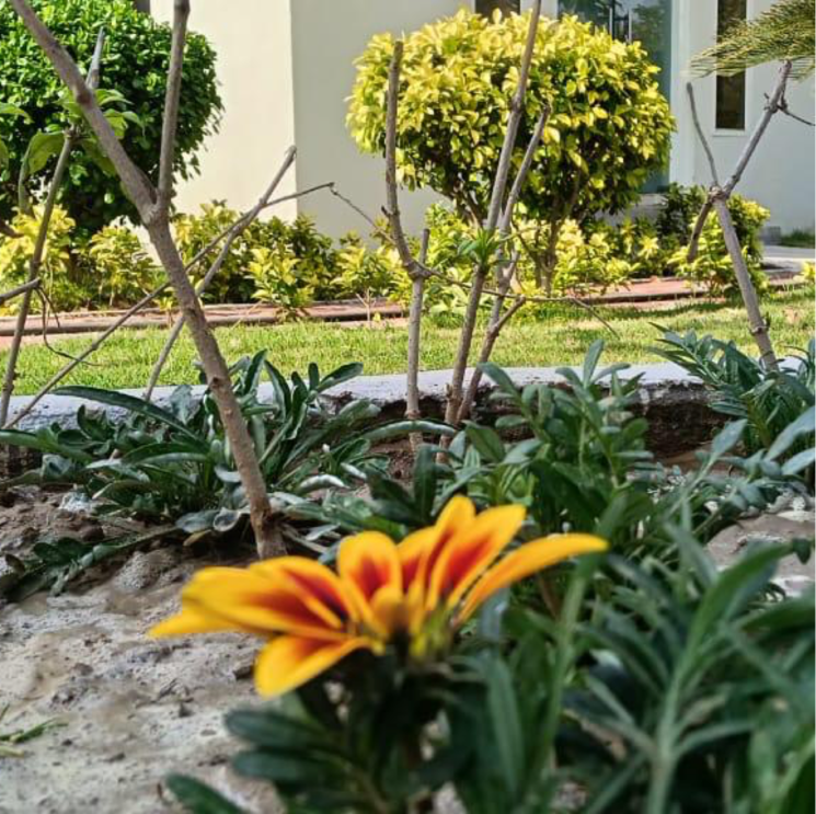 Garden, baghpat road  100 Sq.Yd. Plot In Baghpat Road Ghaziabad 8813258