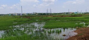 Plot Area in  Plot at Patrapada – for Sale