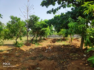  Plot For Sale in Shamirpet