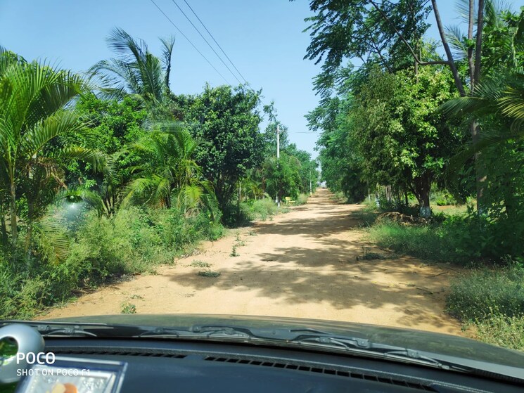 Garden, shamirpet  302 Sq.Yd. Plot In Shamirpet Hyderabad 8813259