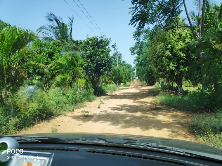 Garden, shamirpet  302 Sq.Yd. Plot In Shamirpet Hyderabad 8813259