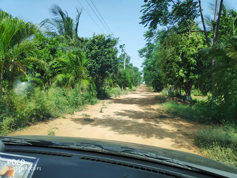 Garden, shamirpet  302 Sq.Yd. Plot In Shamirpet Hyderabad 8813259