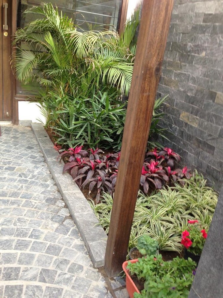 Balcony, saket 3 Bedroom 300 Sq.Yd. Builder Floor In Saket Delhi 8813370