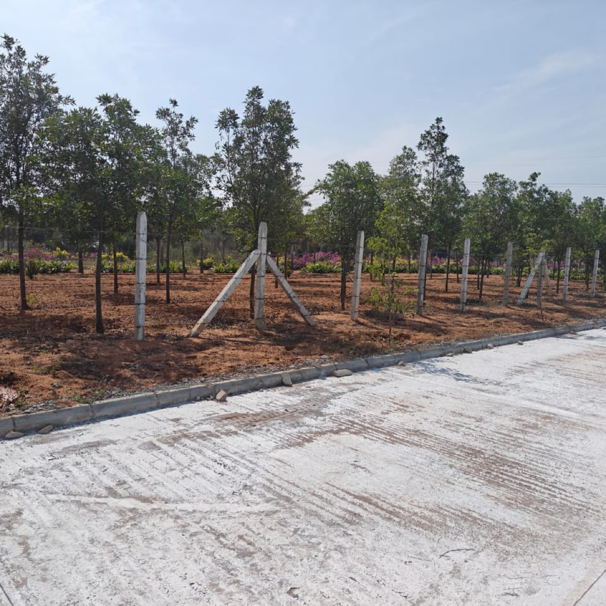 Plot For Sale in Fortune Sunrise