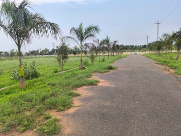 Plot Area in  Plot at Bhogapuram – for Sale