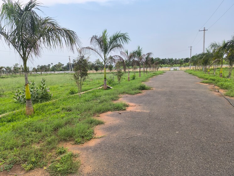 undefined, bhogapuram  233 Sq.Yd. Plot In Bhogapuram Vizag 8813406