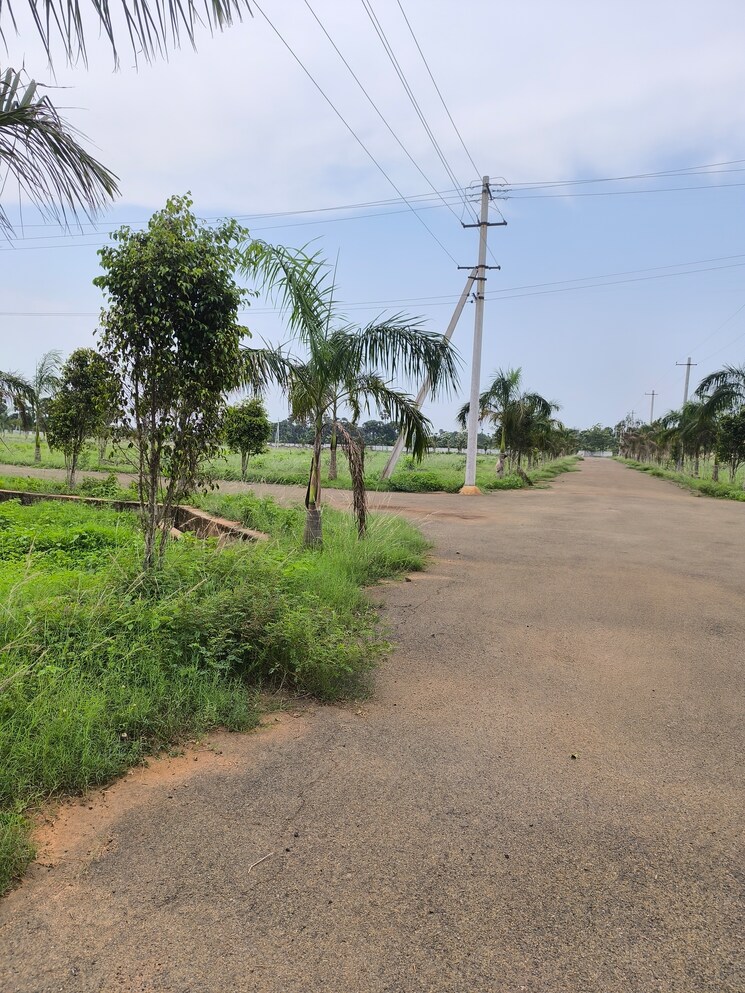 Garden, bhogapuram  233 Sq.Yd. Plot In Bhogapuram Vizag 8813406