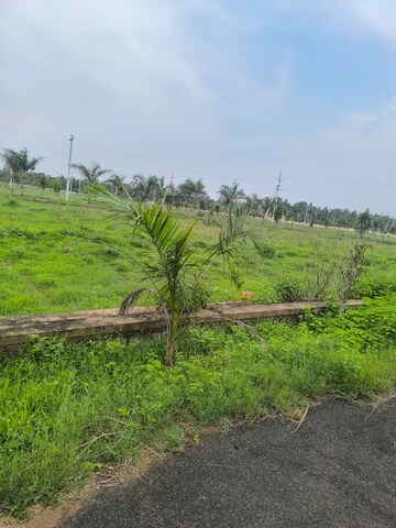 Plot Area in  Plot at Bhogapuram – for Sale