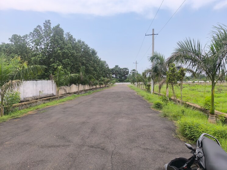 undefined, bhogapuram  233 Sq.Yd. Plot In Bhogapuram Vizag 8813406