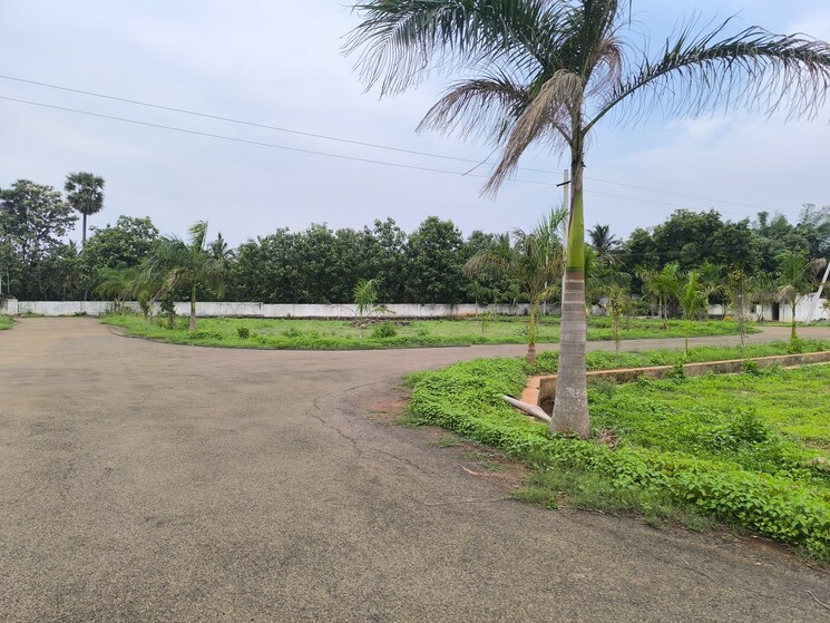 undefined, bhogapuram  233 Sq.Yd. Plot In Bhogapuram Vizag 8813406