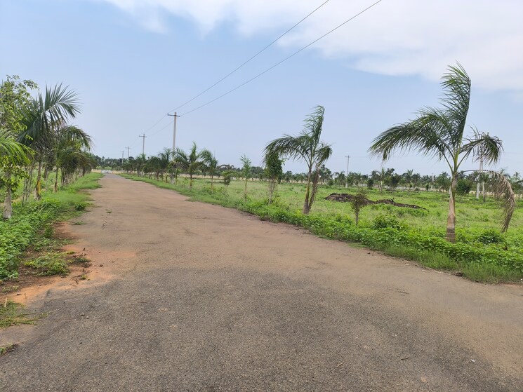 undefined, bhogapuram  233 Sq.Yd. Plot In Bhogapuram Vizag 8813406
