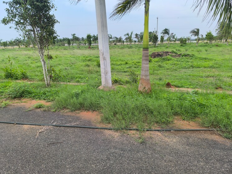 Garden, bhogapuram  233 Sq.Yd. Plot In Bhogapuram Vizag 8813406