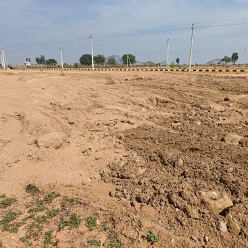 Plot Area in  Plot at Fortune 18, Amangal – for Sale