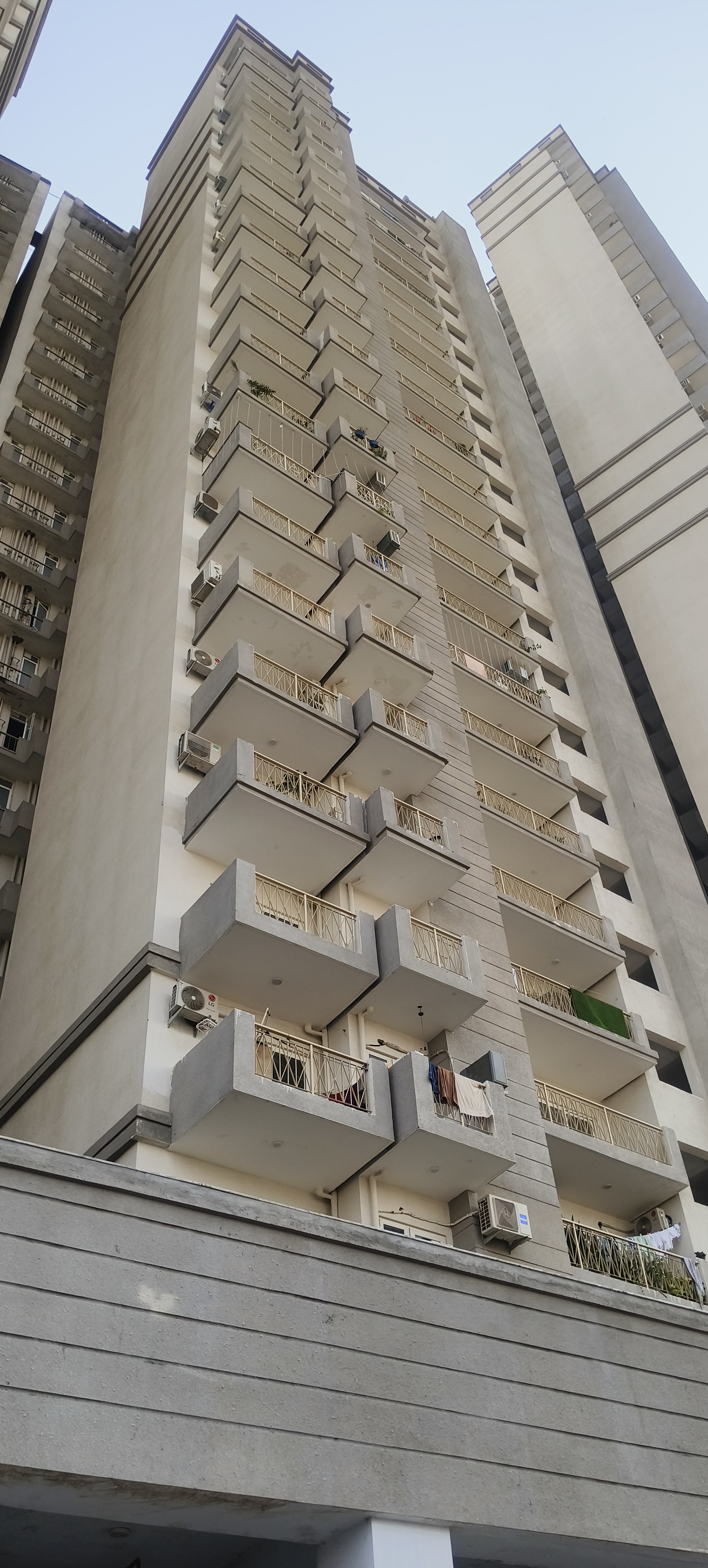 3 BHK Apartment For Rent in Pareena Micasa