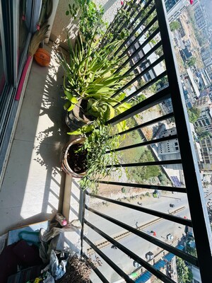 Balcony in 1 BHK Apartment at Yashwant Avenue, Virar West – for Sale