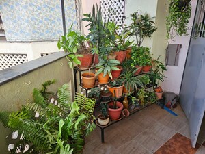 Balcony in 2.5 BHK Apartment at Ashoka Summit, Kondhwa – for Sale