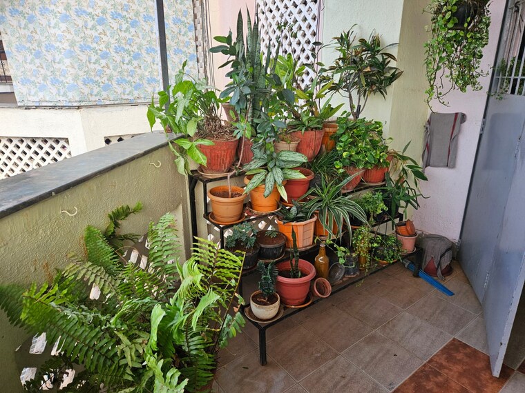 Balcony, ashoka-summit 2.5 Bedroom 1350 Sq.Ft. Apartment In Kondhwa Pune 8813649