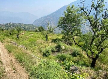 Plot Area in  Plot at Thoeg – for Sale
