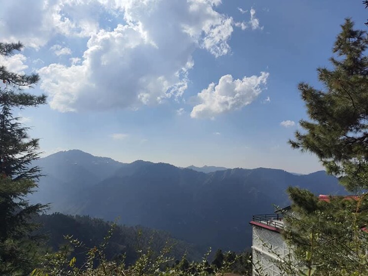 Master Bedroom, badaya 6+ Bedroom 4500 Sq.Ft. Independent House In Badaya Shimla 8813713