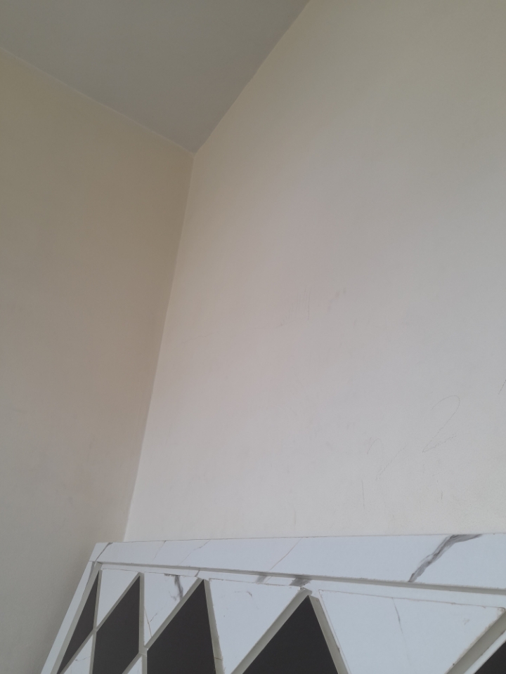 3.5 BHK + Pooja Room,Study Room Apartment For Sale in Rohan Ishan