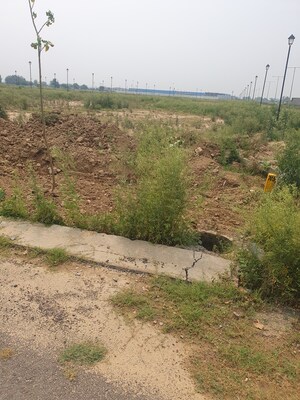 Plot Area in  Plot at Wave City, Wave City – for Sale