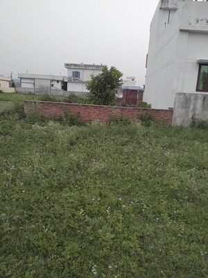 Plot Area in  Plot at Harbhaj Wala – for Sale