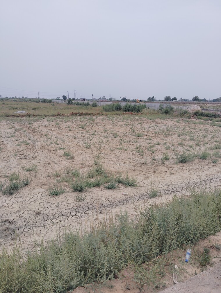 undefined, delhi mathura highway  1800 Sq.Ft. Plot In DelhI  Mathura Highway Mathura 8814318