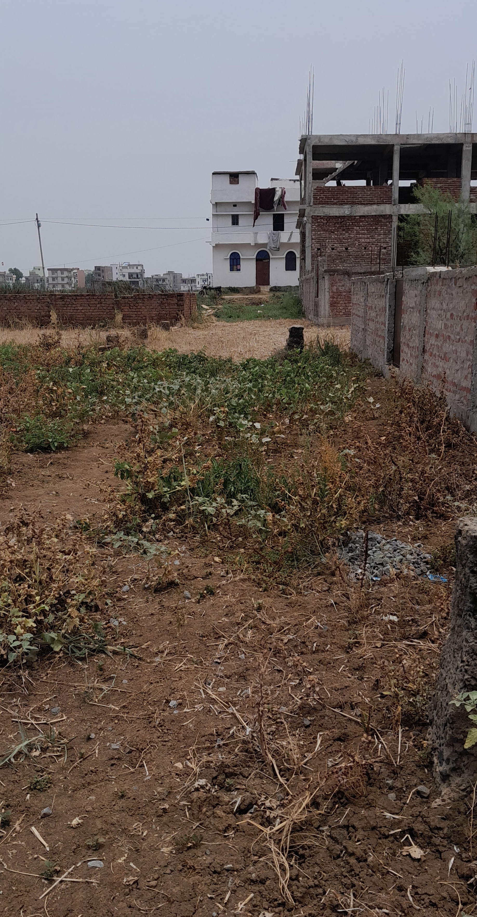 Plot For Sale in Anisabad Betura Patna