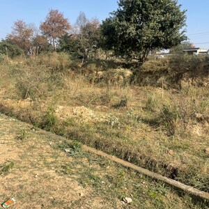 Plot Area in  Plot at Sector 2 Greater Noida – for Sale