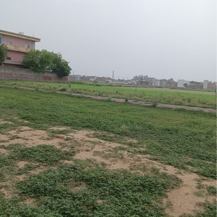 undefined, sector 56  80 Sq.Yd. Plot In Sector 56 Faridabad 8814758