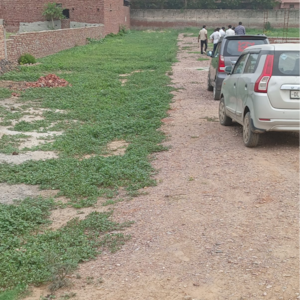   Plot at Sector 56 – for Sale