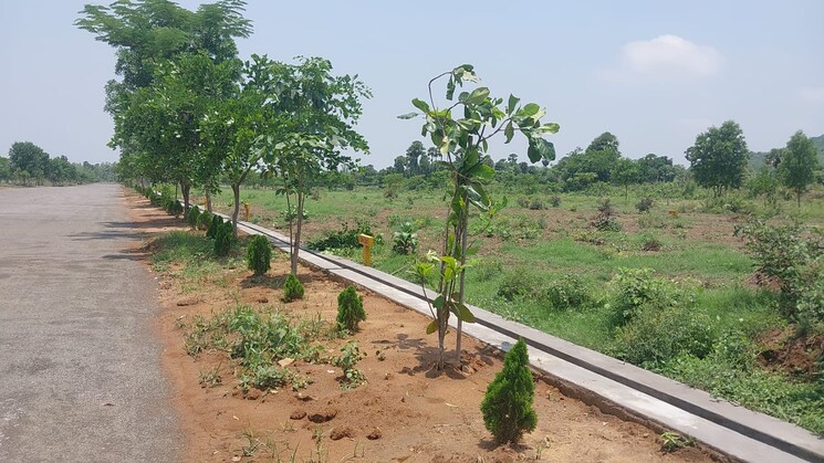 undefined, kothavalasa  167 Sq.Yd. Plot In Kothavalasa Vizag 8814954