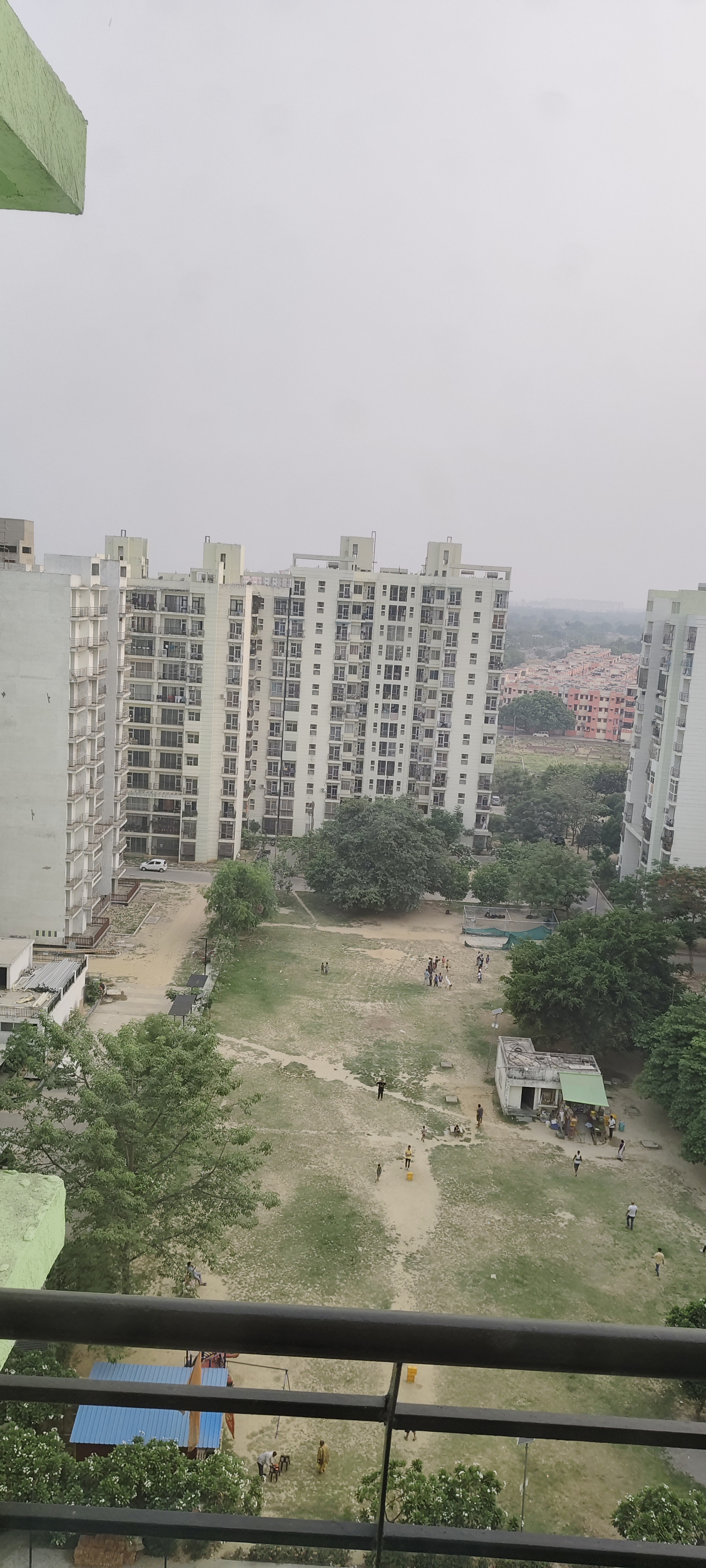 3.5 BHK + Servant Room Apartment For Sale in Ansal Celebrity Meadows