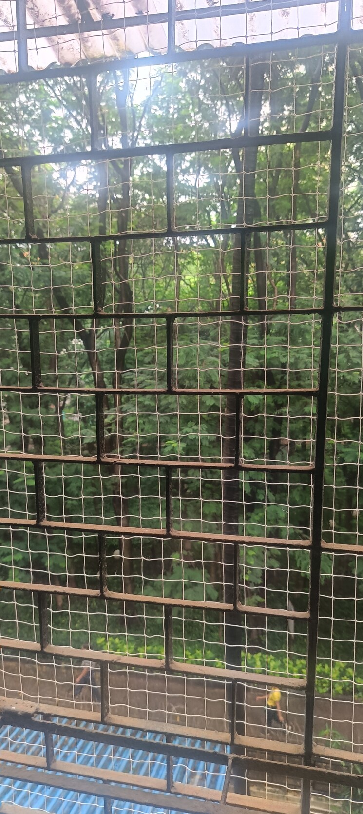 Balcony, daffodil-chs-kandivali 2 Bedroom 660 Sq.Ft. Apartment In Kandivali East Mumbai 8815096