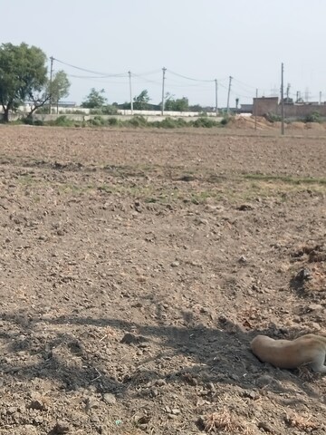 Plot Area in  Industrial Plot at Kabri – for Sale