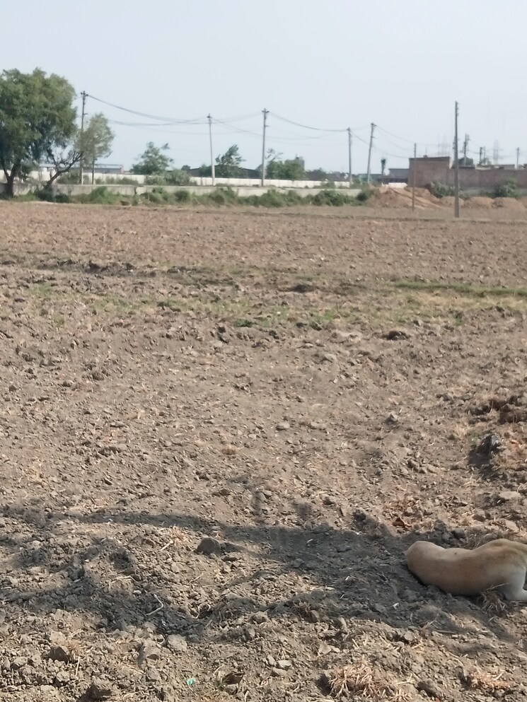 undefined, kabri Commercial Industrial Plot 3 Acre In Kabri Panipat 8815333