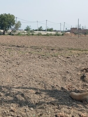 Plot Area in  Industrial Plot at Kabri – for Sale